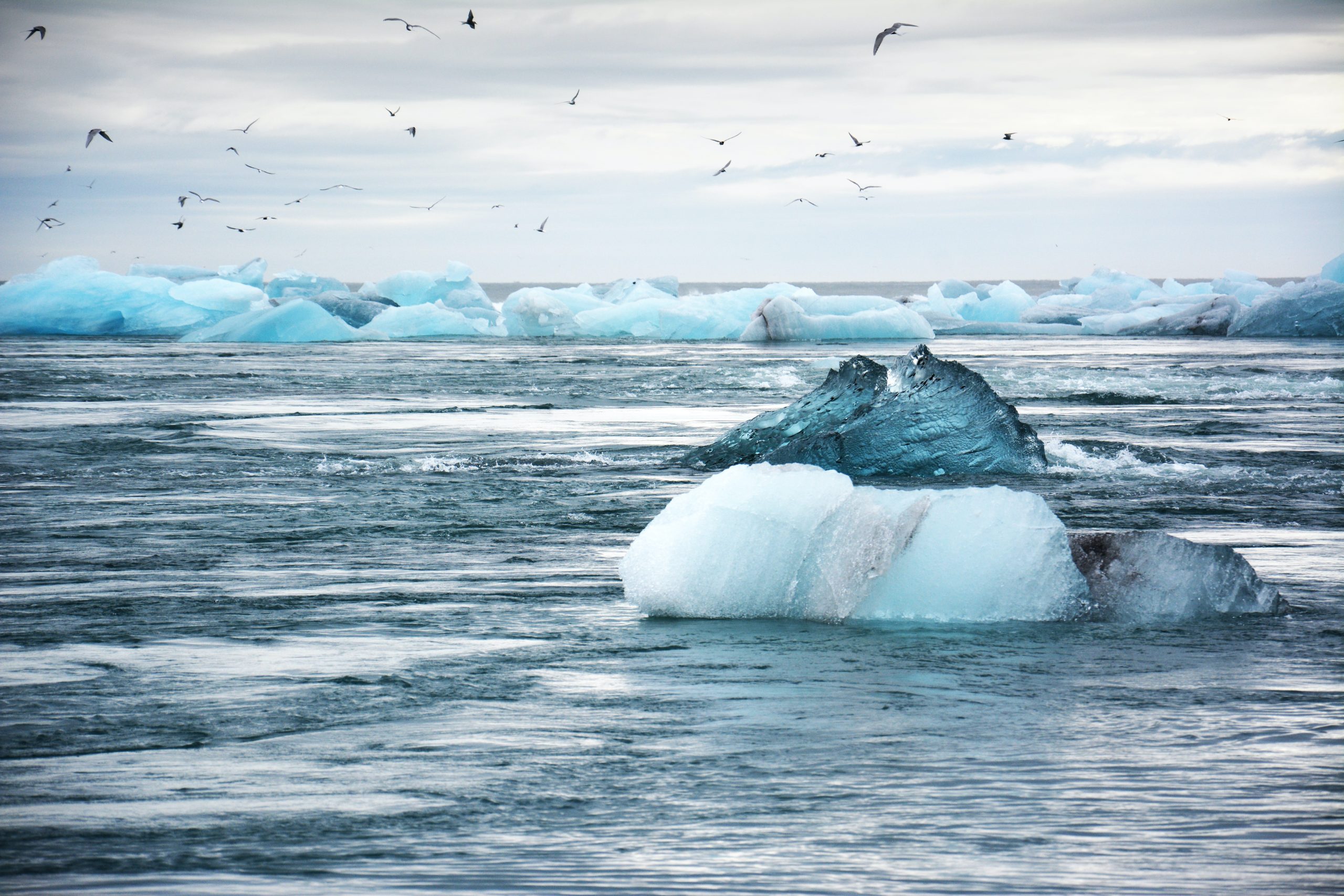 Réchauffement climatique - Fonde des glaces