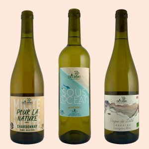 Coffret vin Blanc – Sélection de vin blanc