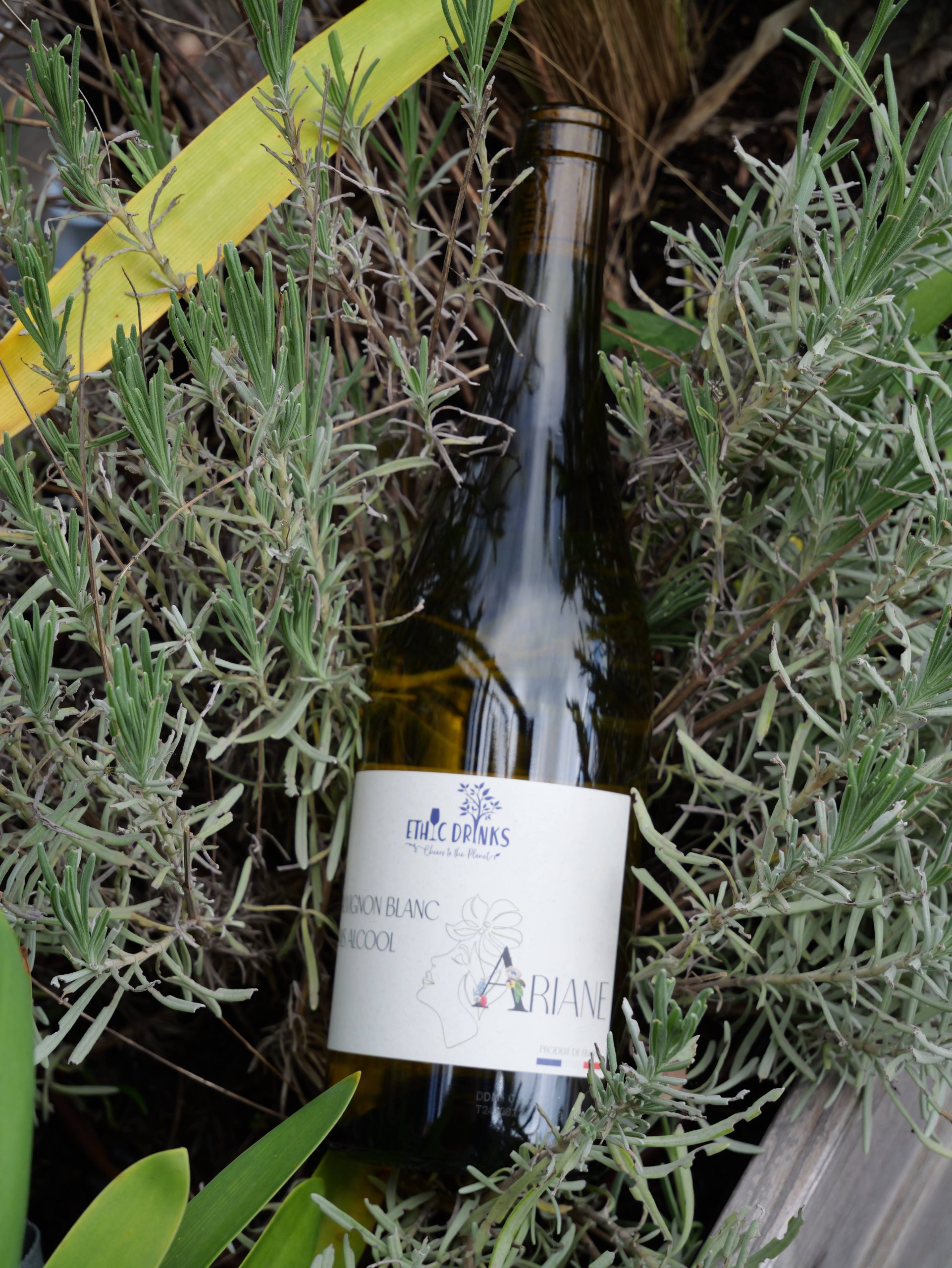Vin Sans Alcool Sauvignon Blanc – Ariane