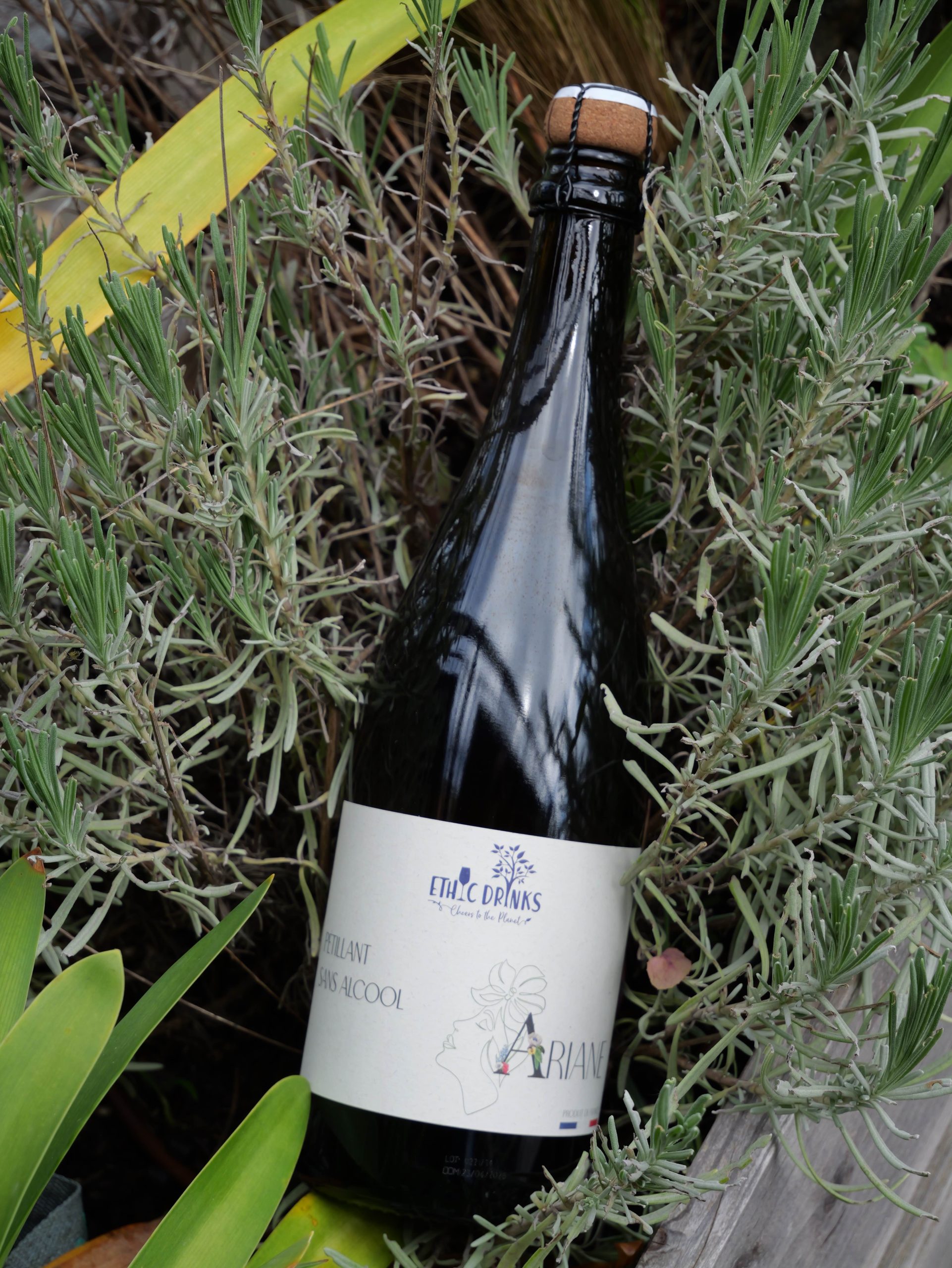 Vin Sans Alcool Pétillant Sauvignon Blanc – Ariane